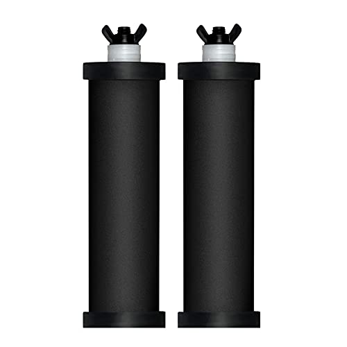 Lixa-da Waterdrop Ersatz-Wasserfilter für Wasserreiniger, 2 Stück